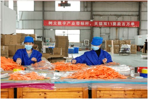 從“網(wǎng)紅”到“長紅” 義烏小商品與國民美食共繪中國消費(fèi)新圖景