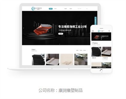 保定網(wǎng)站開發(fā)工作室